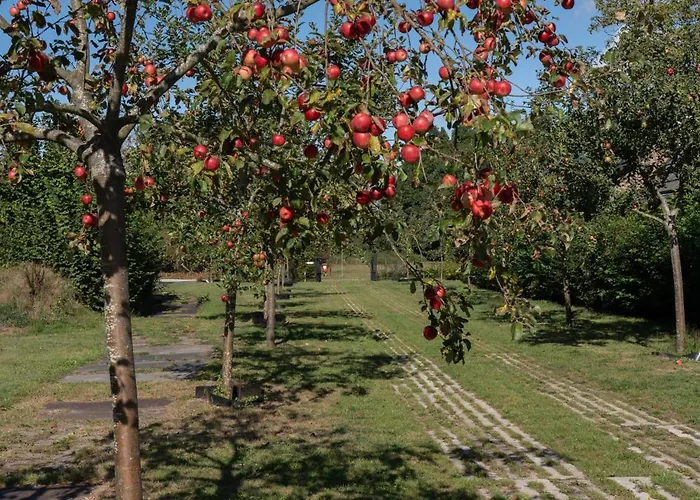 Bij De Appelhof